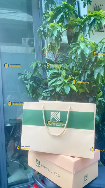 Túi giấy và hộp đồng bộ Khang Lucky nền kem dải xanh lá